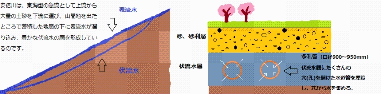 安倍川は、東海型の急流として上流から大量の土砂を下流に運び、山間地を出たところで堆積した地層の下に表流水が潜り込み、豊かな伏流水を形成しているのです。