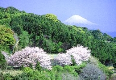 谷津山配水池
