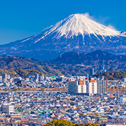 City Life Meets Nature