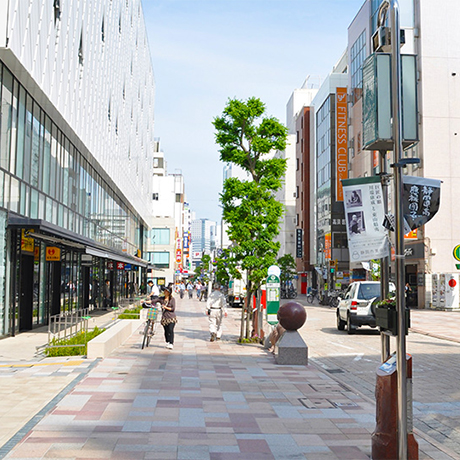 Discover Shizuoka on foot